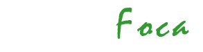 Silviu Foca